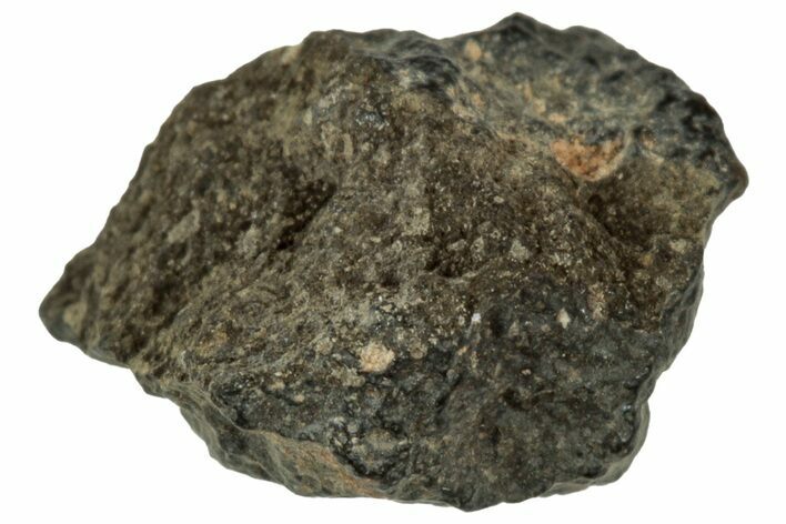 Abadla CM Chondrite Meteorite ( g) - Algeria #313057